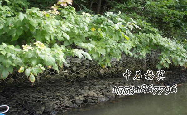 熱鍍鋅格賓網(wǎng)